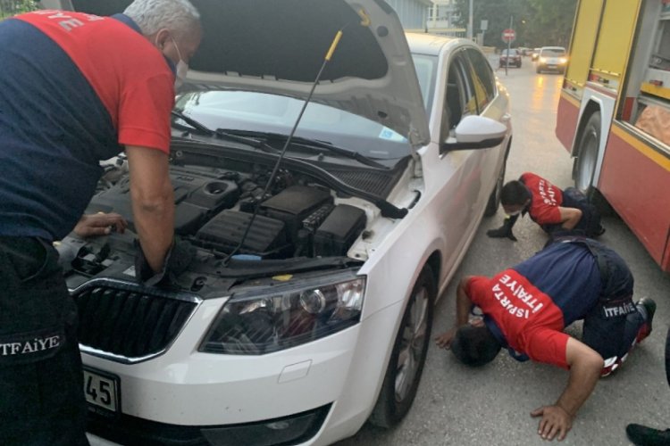 Kedi sesi duydu, aracın başından 3 saat ayrılmadı