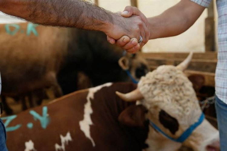 Kurban satışında ''tokalaşmalı pazarlık'' yasak!