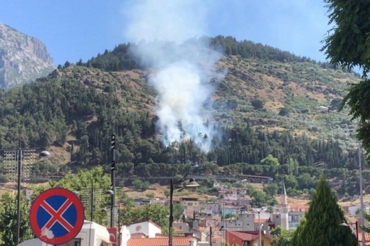 Manisa'da ormanlık alanda yangın