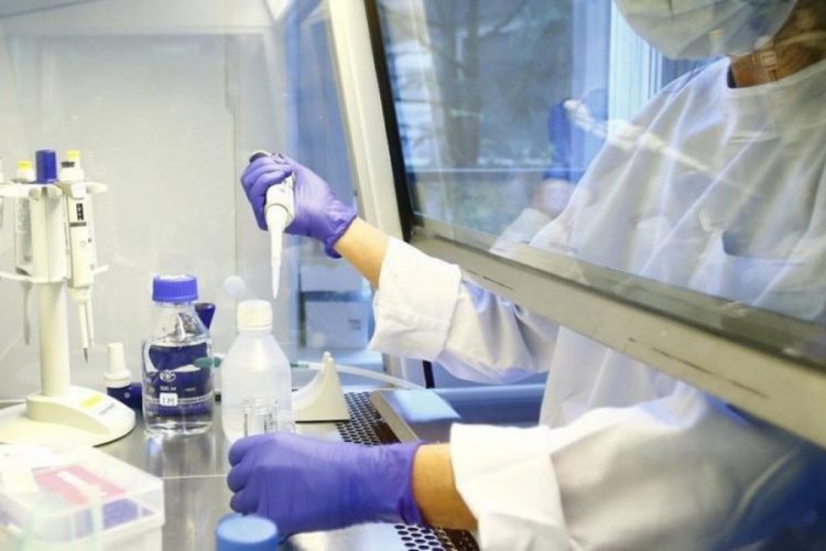 Koronavirüs aşısı geliştiren şirket: ''Yüzde 94'ünde etkili oldu''