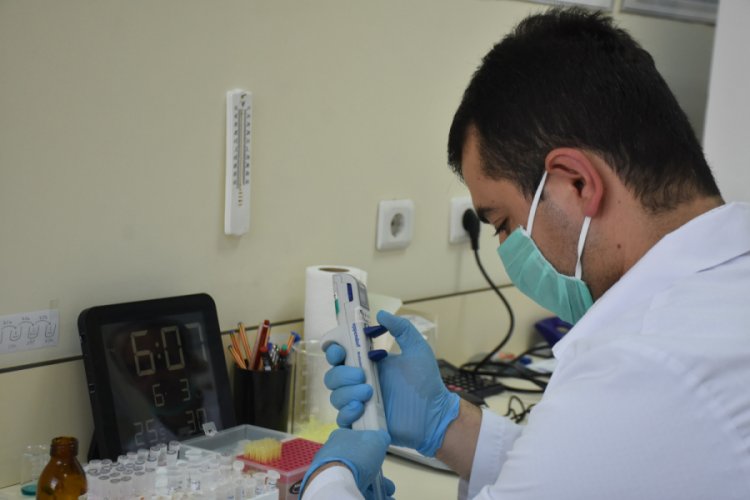 ELİSA testi ile hem koronavirüs hem de antikorun düzeyi tespit ediliyor