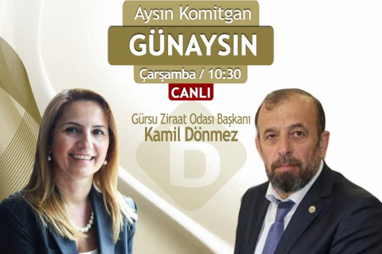 Sel felaketi sonrası Bursa'daki tarım arazilerinin durumu