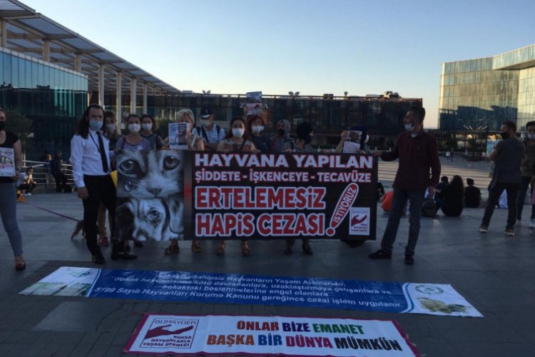 Bursalı hayvanseverlerden hassasiyet çağrısı