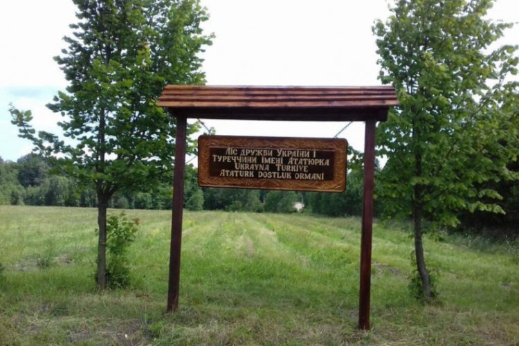 Ukrayna'da Türk vatandaşları 'Atatürk Dostluk Ormanı' kurdu