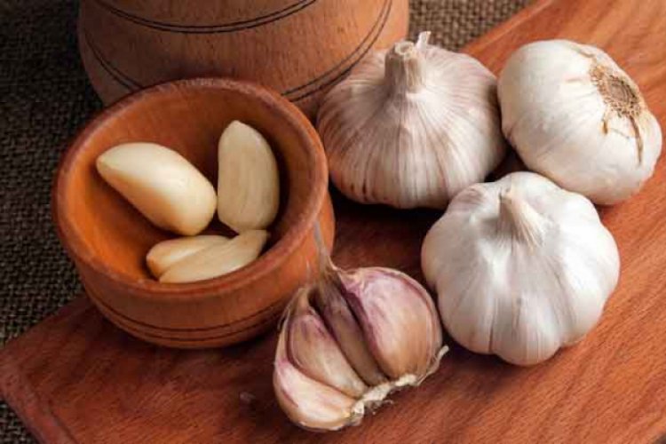 Bursa Ticaret Borsası'nda sarımsağın kilogramı ne kadar?