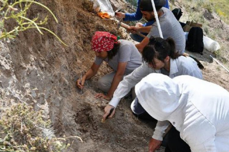 7,5 milyon yıllık fosillerin bulunduğu alanda yeni kazı çalışması