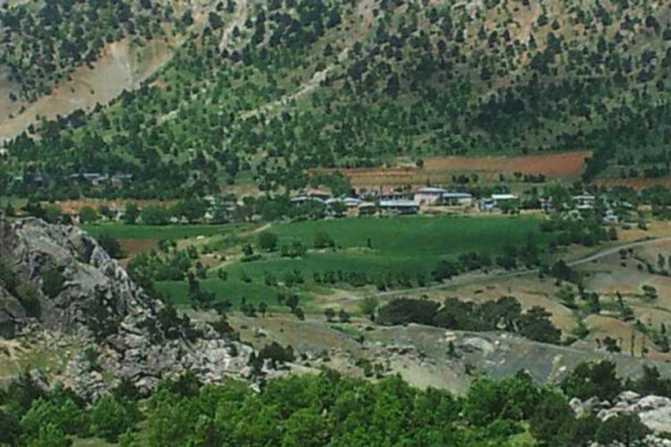 Adıyaman'da 1 mezraya karantina