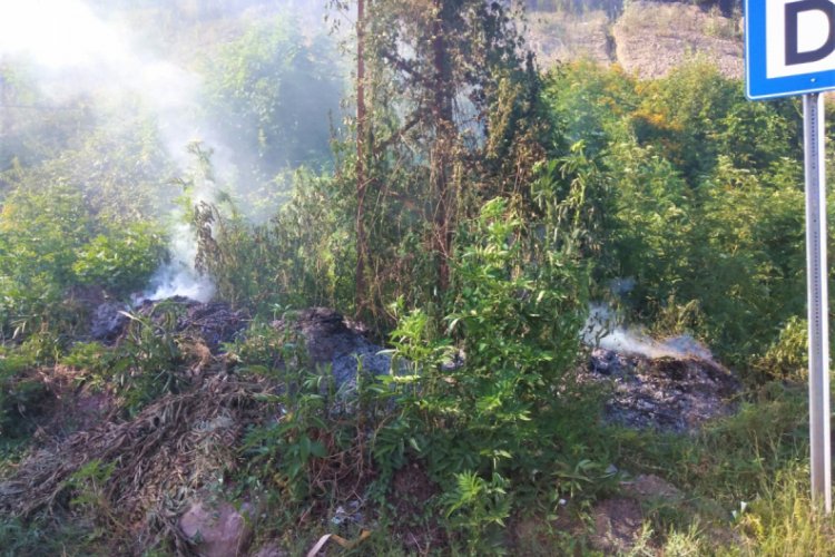 Elektrik direğinden düşen kıvılcım yangına sebep oldu