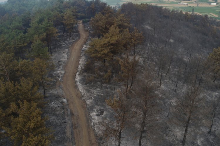 Yangının boyutu gün ağarınca ortaya çıktı