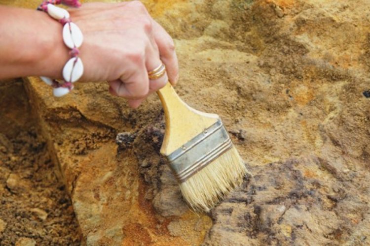 70 yıl önce bulunan balık fosilinin 70 milyon yıllık olduğu keşfedildi