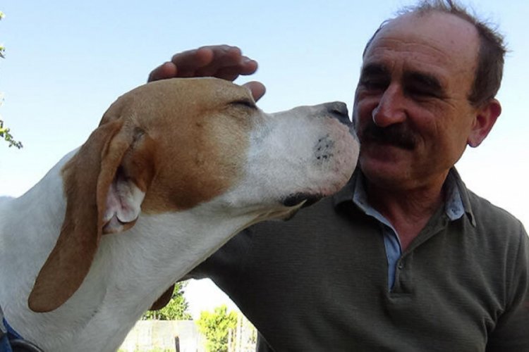 O çiftçi, köpeklerini traktöre neden bağlayarak götürdüğünü açıkladı
