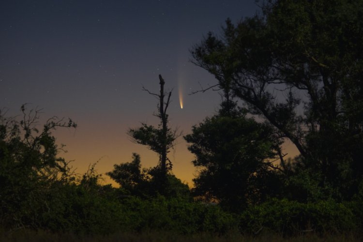Neowise kuyruklu yıldızı, Bursa'da longoz ormanlarından fotoğraflandı