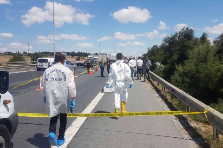 Otoyol kenarında ceset parçaları bulundu