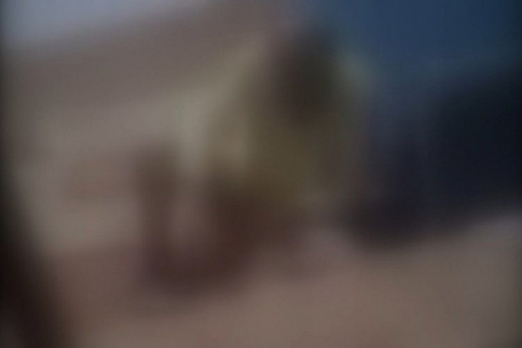 Köpeğe cinsel saldırıda bulunurken yakalandı!