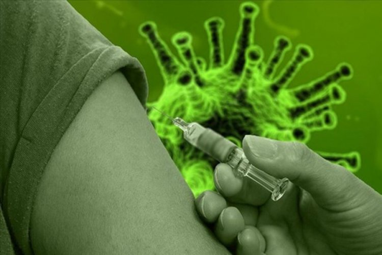 Türk bilim insanı geliştirdi! Yeni aşı test edilecek