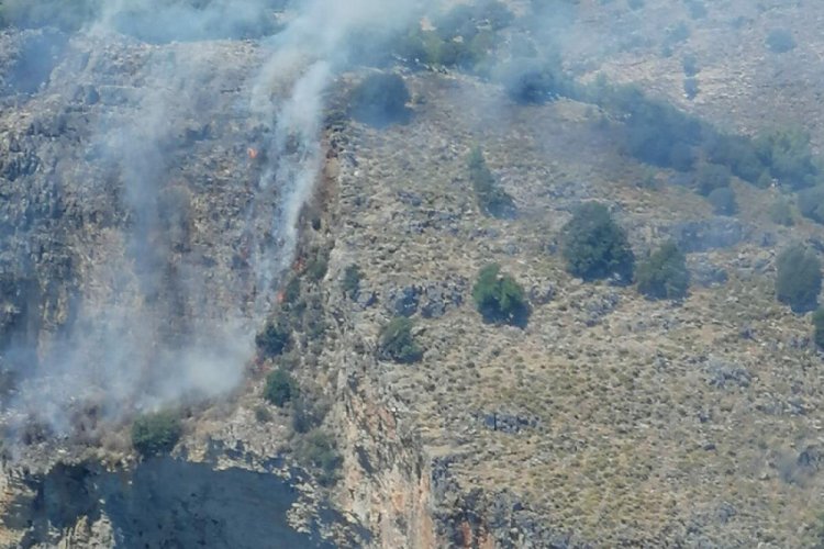 Muğla'da Göbün Koyu'nda yangın