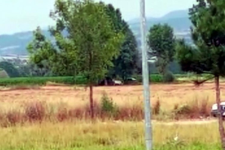 Teneke kutu üzerine çıkarak ata tecavüz etti!