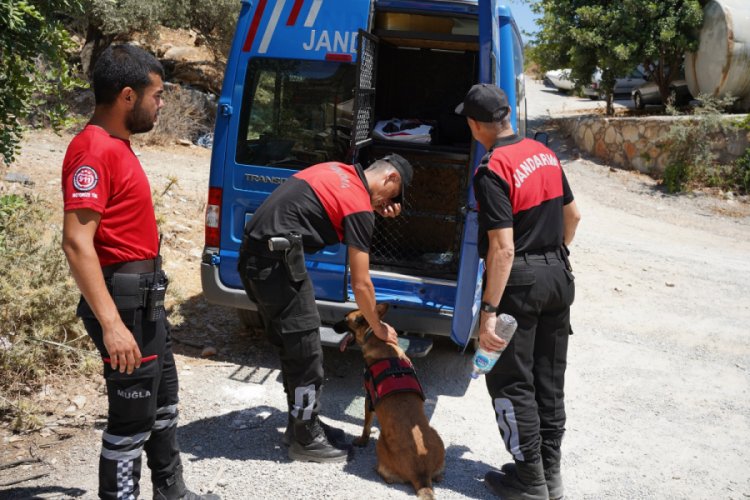 Muğla'da köpeğin getirdiği insan kafatası polisi alarma geçirdi