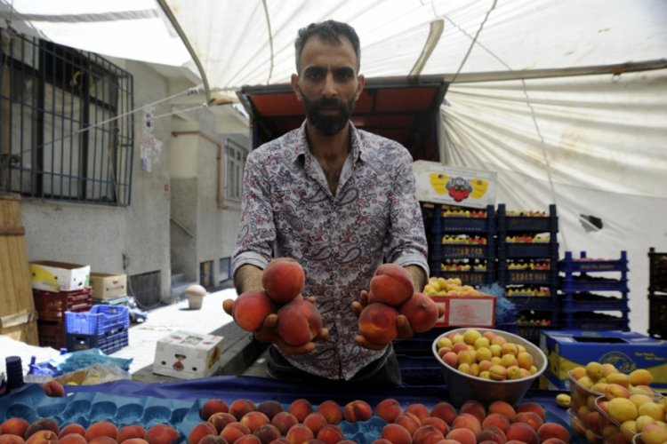 Tarlada 2 lira olan şeftali şehirde 3 katına satılıyor