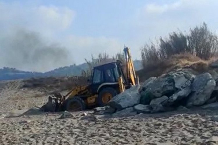 Sahile giren kepçe katliam yaptı