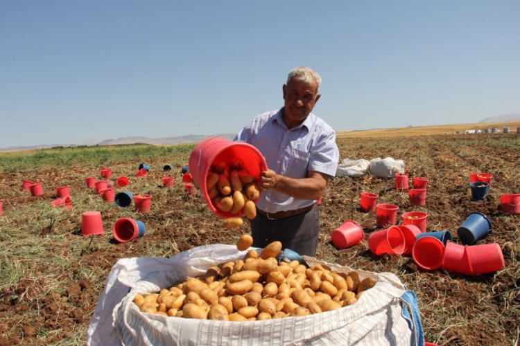 Adıyaman'da işçi aracısıydı üretici oldu