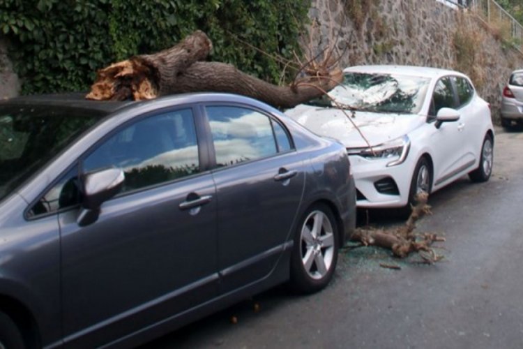 Park halindeki otomobillerin üzerine ağaç parçası düştü