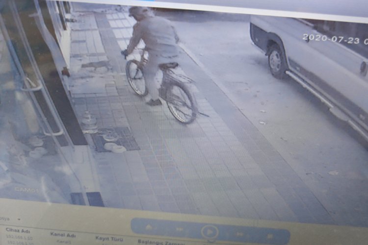 Bursa'da yavru köpeği çalan hırsız güvenlik kamerasına yakalandı