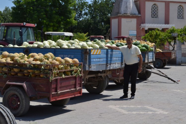 Bursa Mustafakemalpaşa'da karpuz ve kavun hasadı başladı