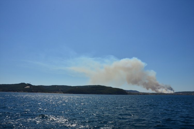 Çanakkale'de orman yangını