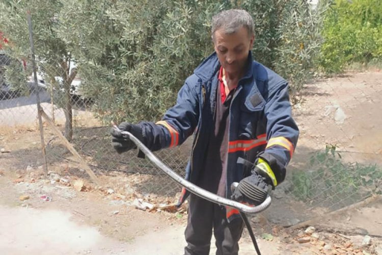 Uzmanlardan vatandaşlara 'yılan' uyarısı