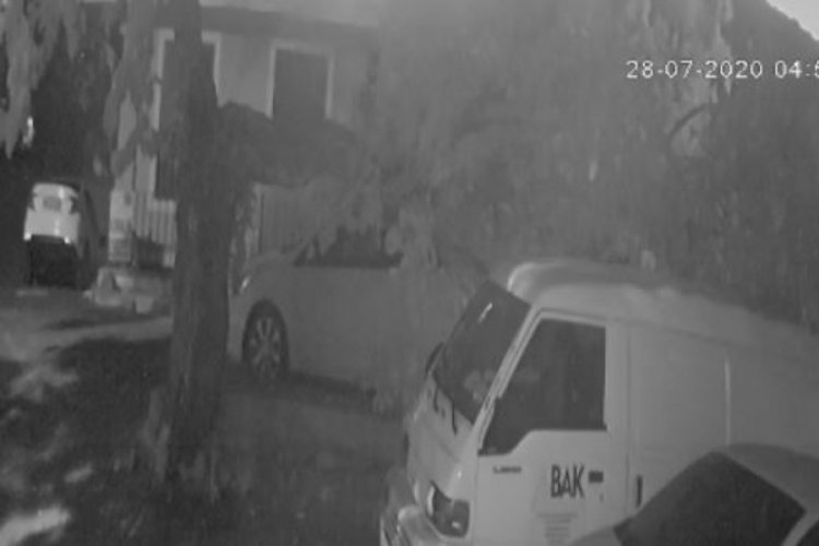 Çürüyen ağaç dalı 2 otomobilin üzerine böyle devrildi