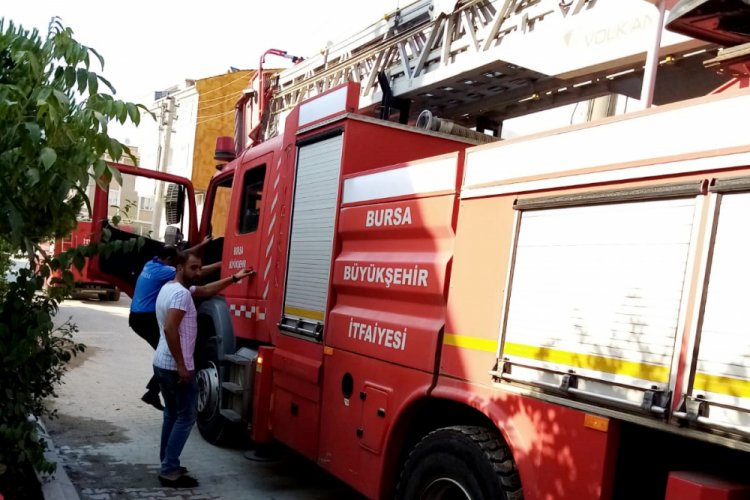 Bursa'da çatıya sıkışan ebabil kuşu kurtarıldı