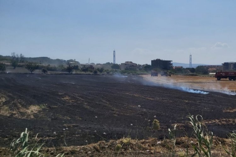 Çanakkale'de, buğday tarlasında yangın