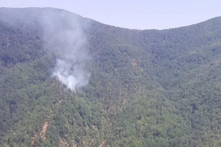 Hatay'da çıkan orman yangını kontrol altına alındı