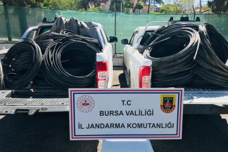 Bursa'da ormanda mangal yerine çaldıkları kabloları yaktılar