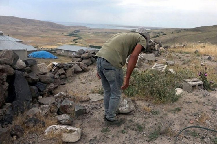Van'da bir mahallede akrep istilası