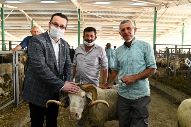 Bursa Mustafakemalpaşa Belediye Başkanı Kanar hayvan pazarını ziyaret etti