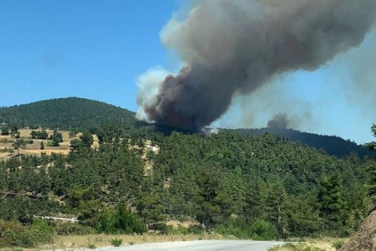 Çanakkale'de korkutan orman yangını!