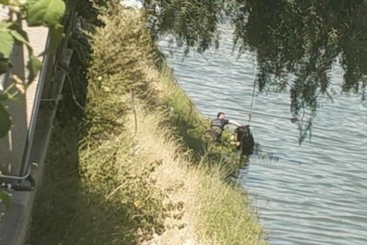 Genç kız, Asi Nehri'nde ölü bulundu