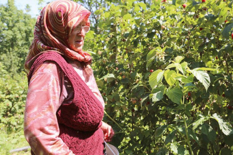 Bursalı Müzeyyen teyze gönüllere girdi! Yetiştirdiği çilekleri pazarda satıp çocuklara ev aldı