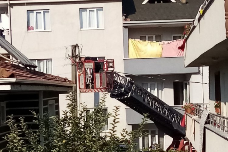 Bursa'da çatıya sıkışan ebabil kuşunu itfaiye kurtardı