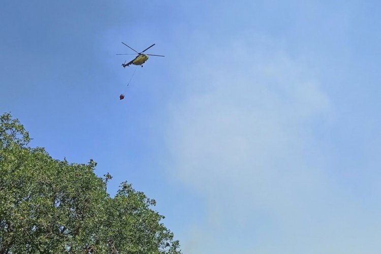Manisa'daki orman yangını kısmen kontrol altında