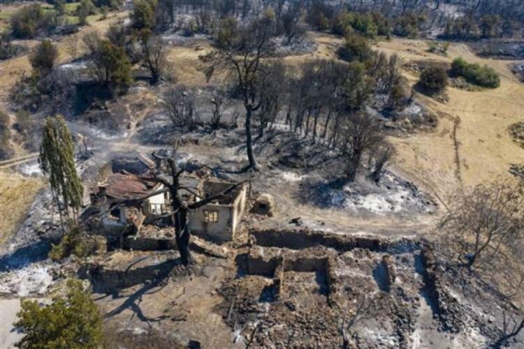 ''15 tane kurbanlığın parası yandı''