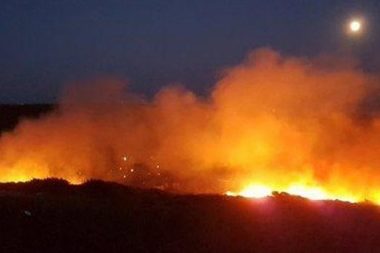 Çanakkale'de makilik alanda yangın