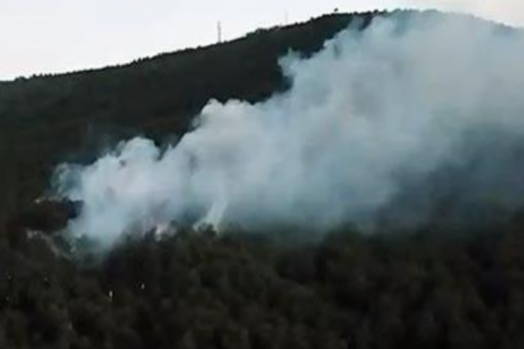 Kayışdağı ormanında yangın
