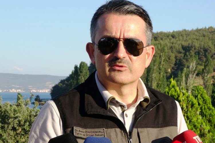 Bakan Pakdemirli, orman yangınları hakkında bilgi verdi