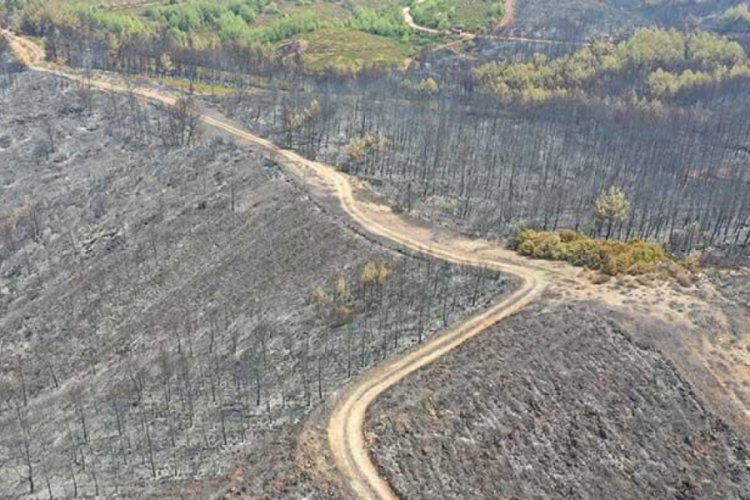 Orman yangını 17 saatte söndürüldü