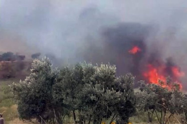 Tekirdağ'da korkutan yangın!