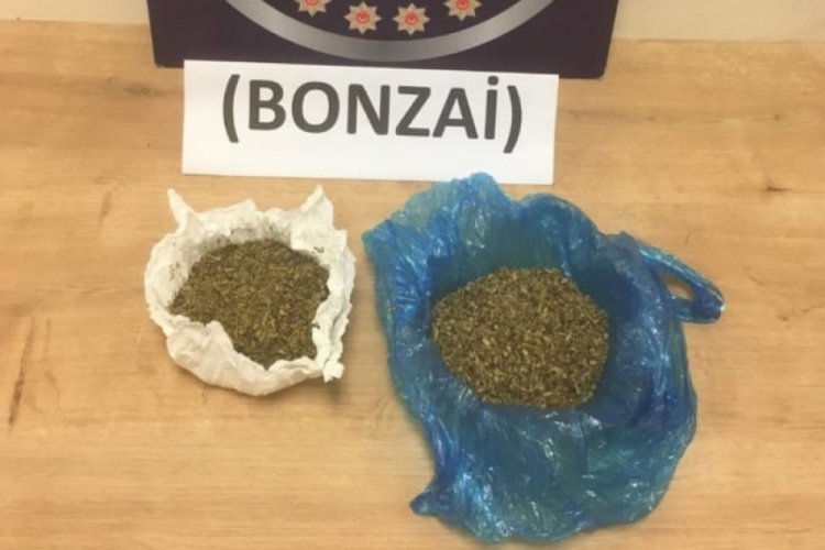Bursa'da uyuşturucu operasyonunda 6 tutuklama