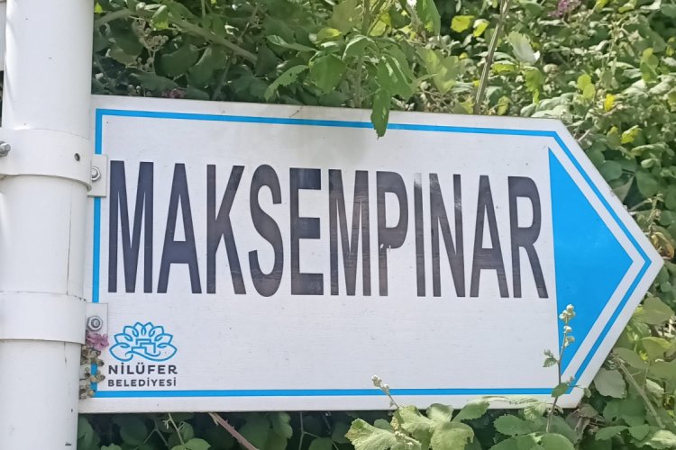 Bursa'da mahalleli tepkili! Yarım kalan piknik alanının tamamlanması isteniyor (ÖZEL HABER)